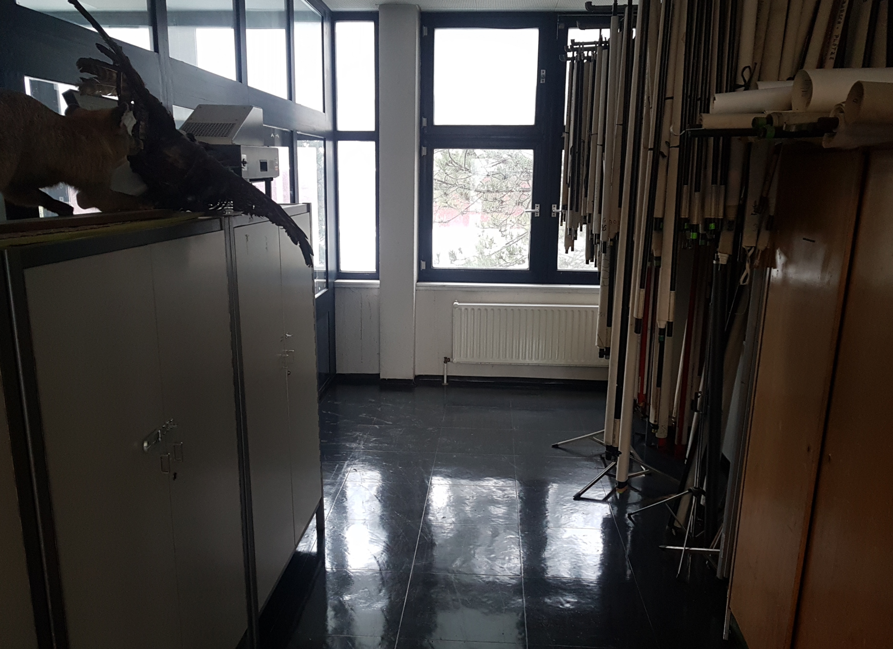 20230306_095817 Feld 1